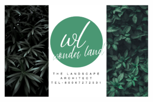 Black Label Font Review for Brand Designers