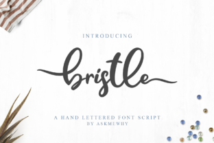 Bristle: A Handwritten Script Font for Editorial Design