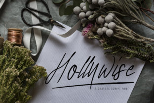 Hollywise: A Script Handwritten Font for Campaigns