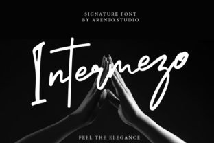 Intermezo Typeface for Bold Campaign Visuals