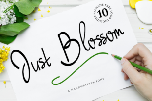Just Blossom Font Review for Campaign Design