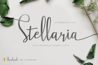 Stellaria: The Premium Script Font for Chic Branding